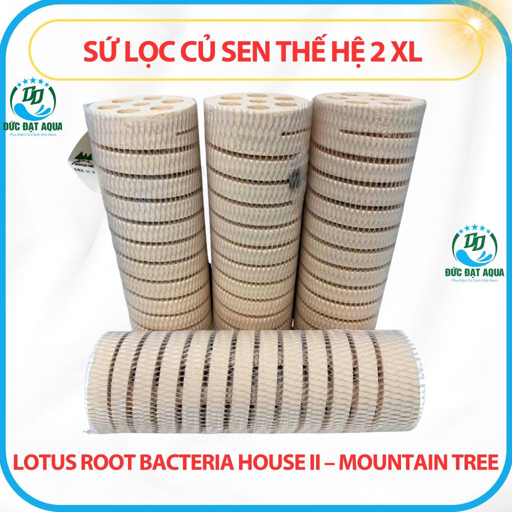 Sứ Củ Sen Thế Hệ 2 XL 8x25cm Những ưu điểm nổi trội của sứ củ sen Lotus Root Bacteria House II