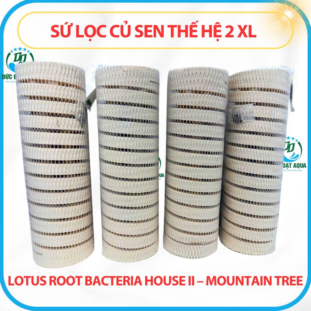 Sứ Củ Sen Thế Hệ 2 XL 8x25cm Những ưu điểm nổi trội của sứ củ sen Lotus Root Bacteria House II 4