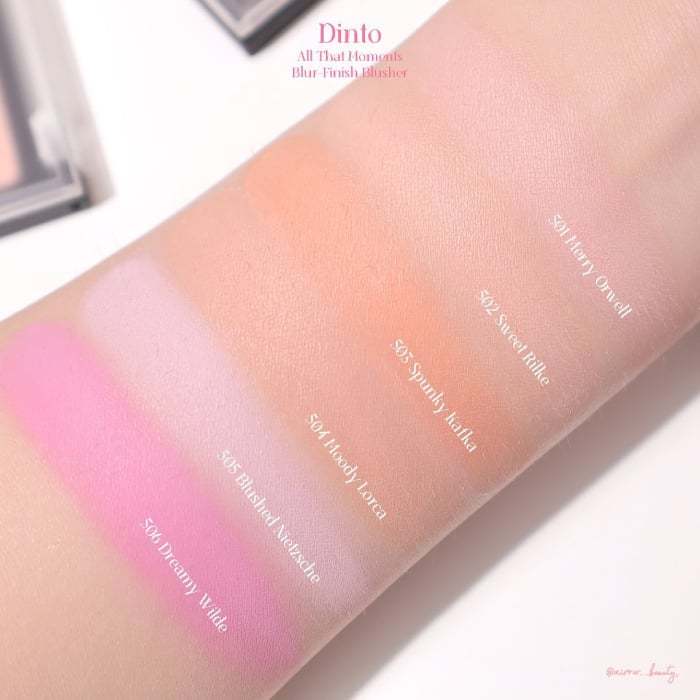 Phấn Má Hồng DINTO Blur-Finish All That Moments Blusher  4.4g