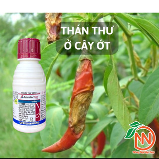 Amistar Top 325SC 100ml – Phấn Trắng Hoa Hồng, Thán Thư, Thối Thân