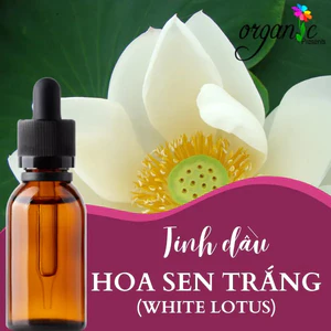 TINH DẦU HOA SEN TRẮNG (WHITE LOTUS)
