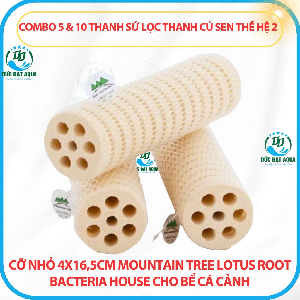 Combo 5&10 thanh sứ thanh củ sen thế hệ 2 cỡ nhỏ 4x16,5cm Mountain Tree Lotus Root Bacteria House