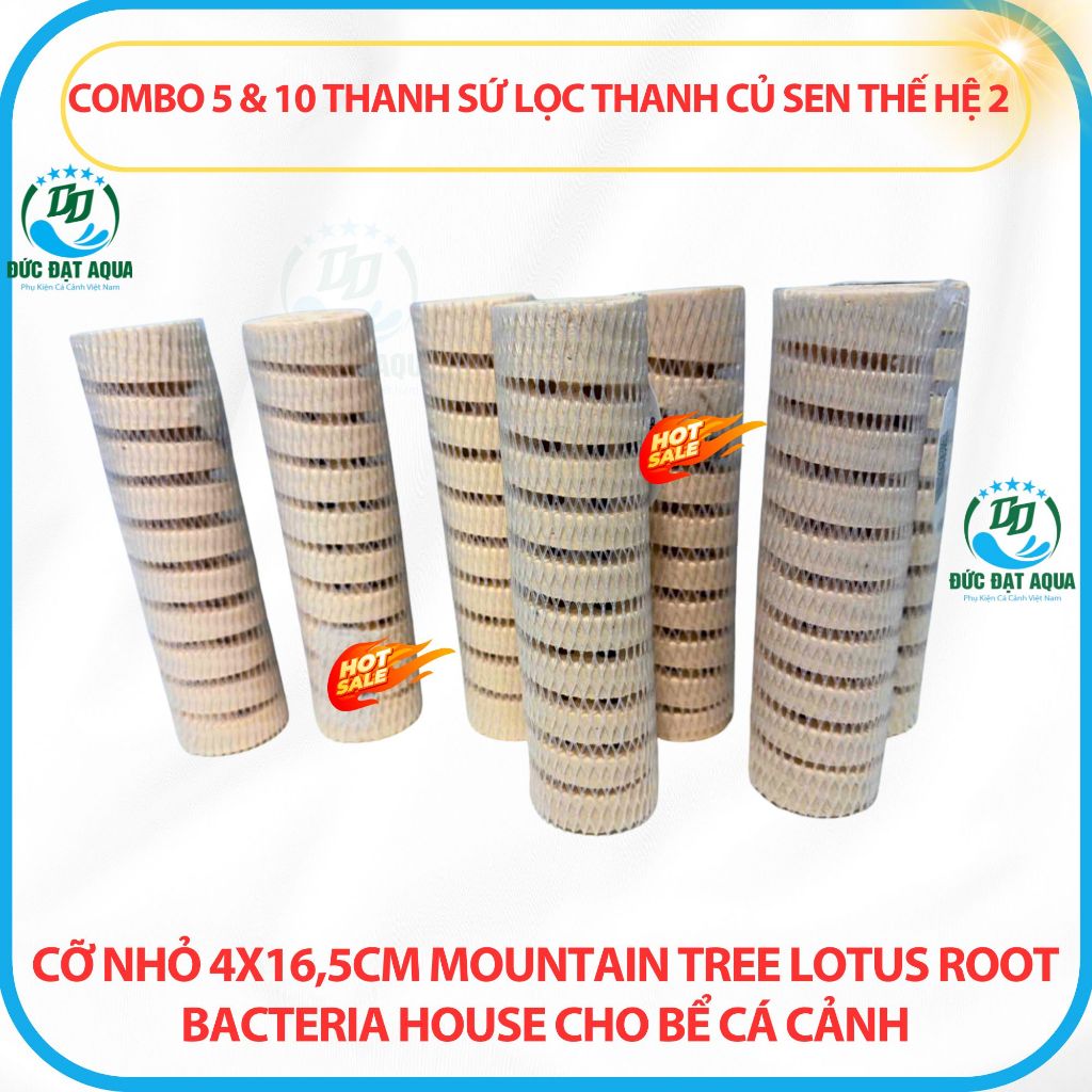 Combo 5&10 thanh sứ thanh củ sen thế hệ 2 cỡ nhỏ 4x16,5cm Mountain Tree Lotus Root Bacteria House 3