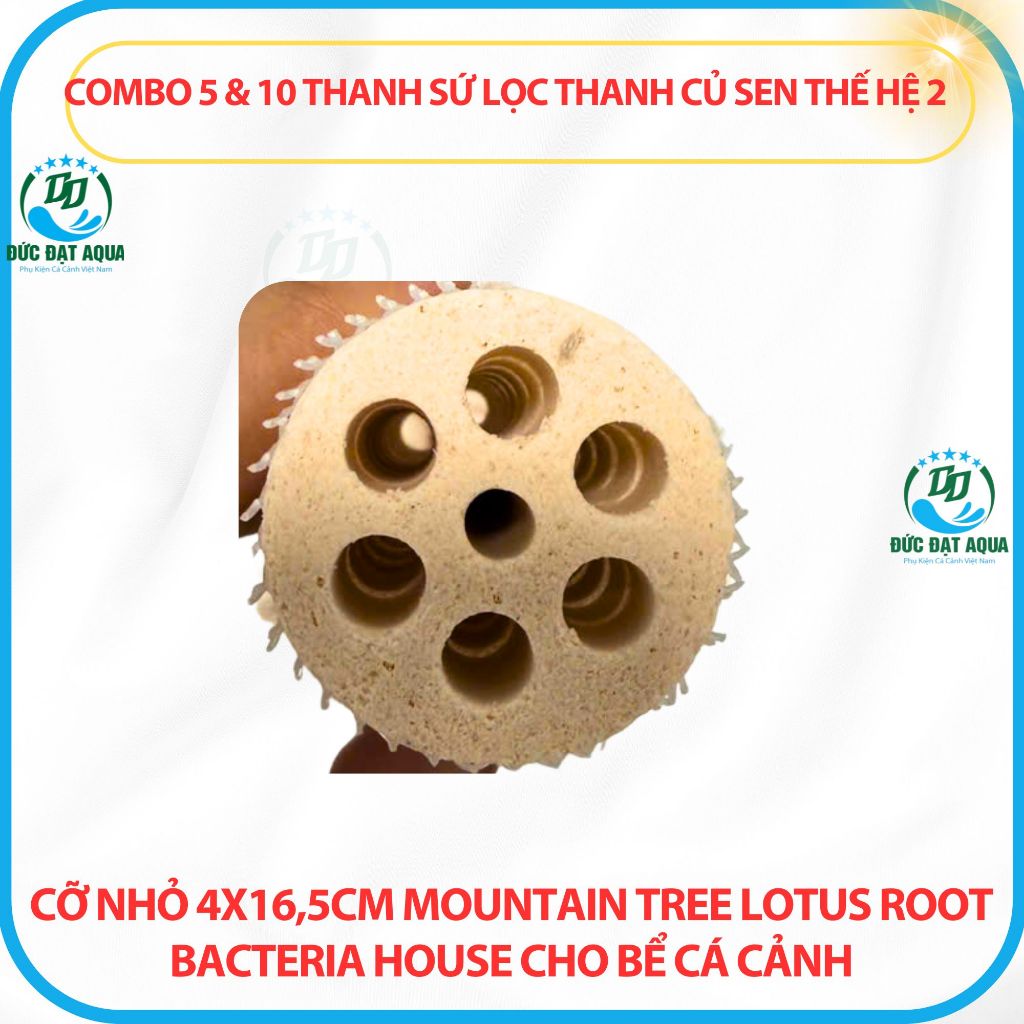 Combo 5&10 thanh sứ thanh củ sen thế hệ 2 cỡ nhỏ 4x16,5cm Mountain Tree Lotus Root Bacteria House 2