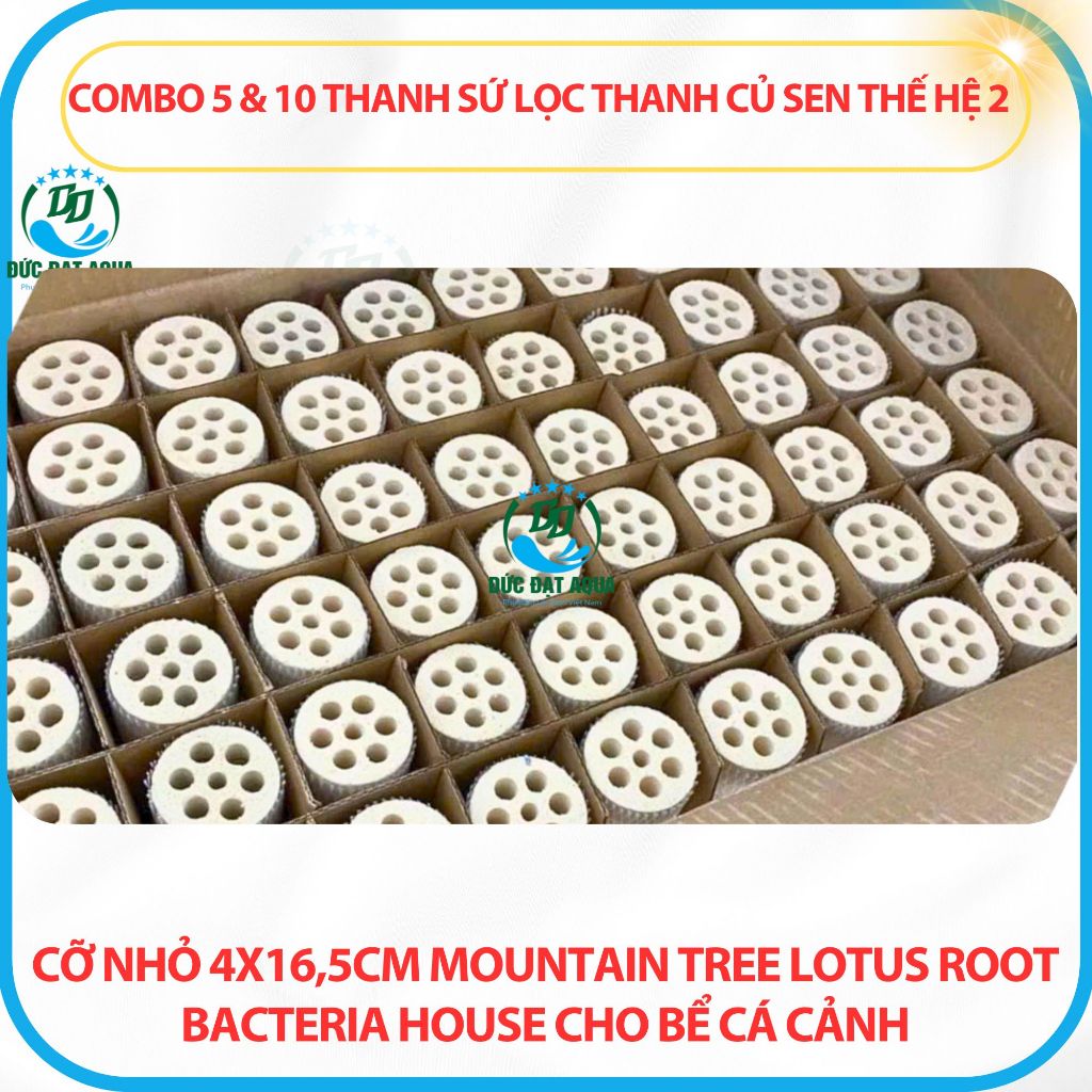 Combo 5&10 thanh sứ thanh củ sen thế hệ 2 cỡ nhỏ 4x16,5cm Mountain Tree Lotus Root Bacteria House 8