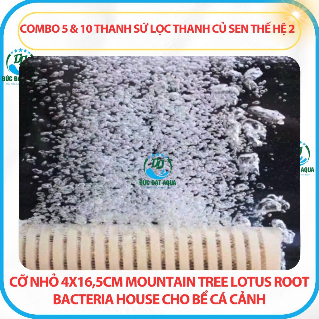 Combo 5&10 thanh sứ thanh củ sen thế hệ 2 cỡ nhỏ 4x16,5cm Mountain Tree Lotus Root Bacteria House 7