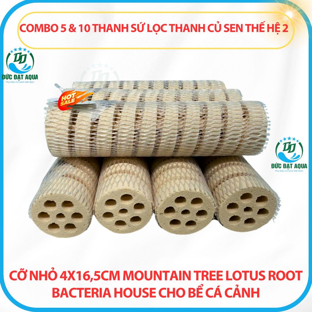 Combo 5&10 thanh sứ thanh củ sen thế hệ 2 cỡ nhỏ 4x16,5cm Mountain Tree Lotus Root Bacteria House 4