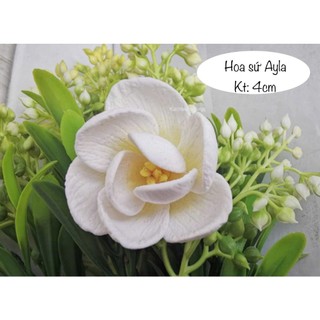 Khuôn silicon Hoa sứ Ayla