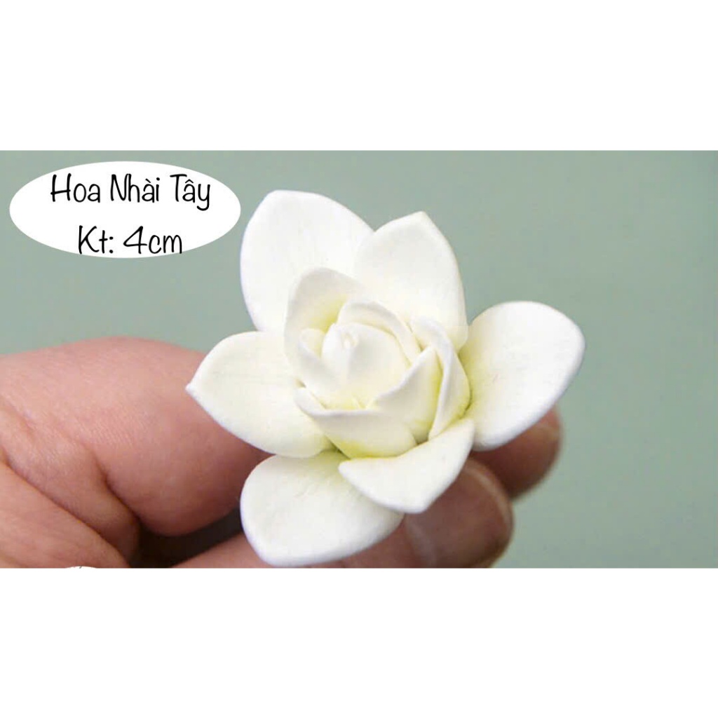 Khuôn silicon Hoa Nhài tây