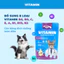 Pate MR VET Gói 70g Thức Ăn Ướt Cho Mèo Bổ Sung Dinh Dưỡng Toàn Diện