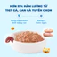 Pate MR VET Gói 70g Thức Ăn Ướt Cho Mèo Bổ Sung Dinh Dưỡng Toàn Diện