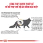 Thức Ăn Hạt Royal Canin Urinary S/O Index Cho Mèo Bị Bệnh Sỏi Thận 1+ Tuổi