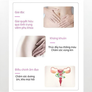 Miếng Dán Thảo Mộc Hoa Sen Tuyết Chăm Sóc Cá Nhân Làm Sạch, Giảm Nấm Ngứa Vùng Nhạy Cảm (2 Miếng/Hộp)LUMI