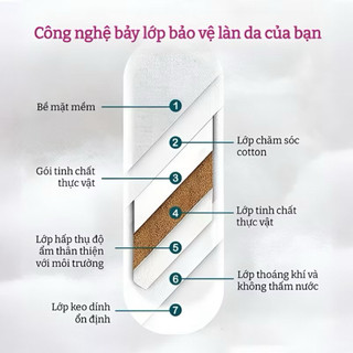 Miếng Dán Thảo Mộc Hoa Sen Tuyết Chăm Sóc Cá Nhân Làm Sạch, Giảm Nấm Ngứa Vùng Nhạy Cảm (2 Miếng/Hộp)LUMI
