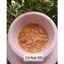 Combo Pate SILVER SPOON cho mèo dạng sốt / dạng thạch - Gói 60g