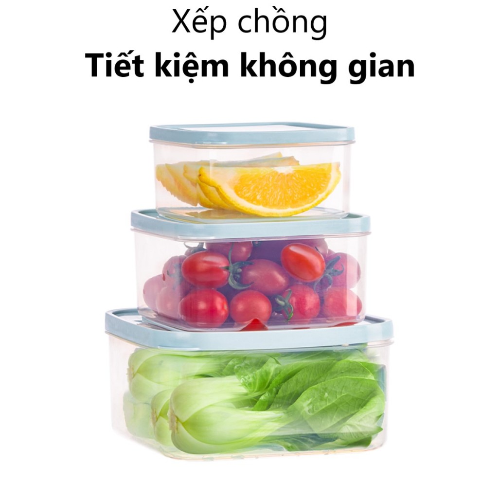 Bộ 3 Hộp Vuông Trong Suốt HOKORI 6529 – Hộp Đựng Thực Phẩm Tiện Lợi, Nhựa Cao Cấp An Toàn, Nắp Kín AMIZIN