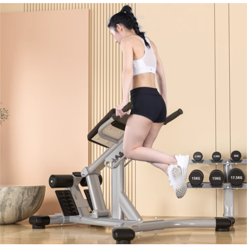 Ghế tập lưng bụng phòng gym  HQ-7007