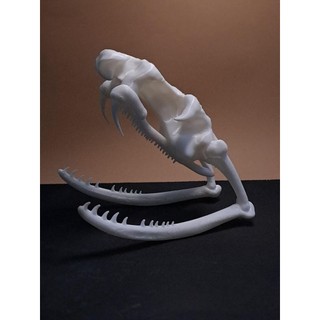 🔥 DỊCH VỤ IN 3D THEO YÊU CẦU 🔥 NHẬN IN SỐ LƯỢNG – NHANH CHÓNG, CHÍNH XÁC, GIÁ TỐT! [ KHÔNG TỰ Ý ĐẶT ]🔥