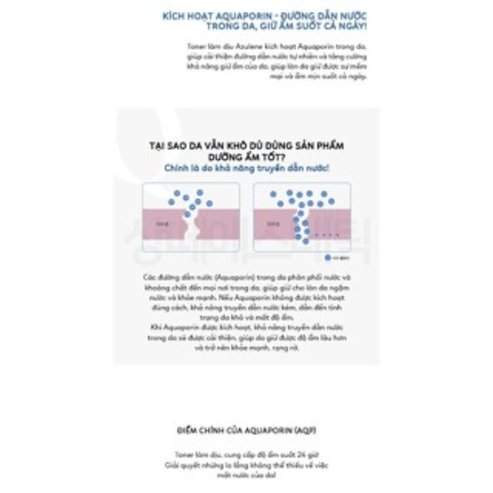 Nước hoa hồng làm dịu làn da DR.SANTE AZULENE SOOTHER TONER 200ml | DAMDAVN