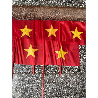 COMBO BÓ 100 CỜ VẪY CỜ CẦM TAY  (ducphong)