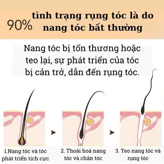 Dầu Gội thảo dược  Đồng Nhân Đường Kích Thích Mọc Tóc Nội Địa Trung, Giúp Dưỡng Ẩm Kiểm Soát Dầu, Ngăn Rụng Tóc
