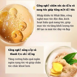 Dầu Gội thảo dược  Đồng Nhân Đường Kích Thích Mọc Tóc Nội Địa Trung, Giúp Dưỡng Ẩm Kiểm Soát Dầu, Ngăn Rụng Tóc