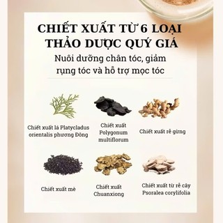 Dầu Gội thảo dược  Đồng Nhân Đường Kích Thích Mọc Tóc Nội Địa Trung, Giúp Dưỡng Ẩm Kiểm Soát Dầu, Ngăn Rụng Tóc