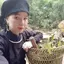 Lá gan rừng tây bắc giải độc gan mát gan dân tộc tày