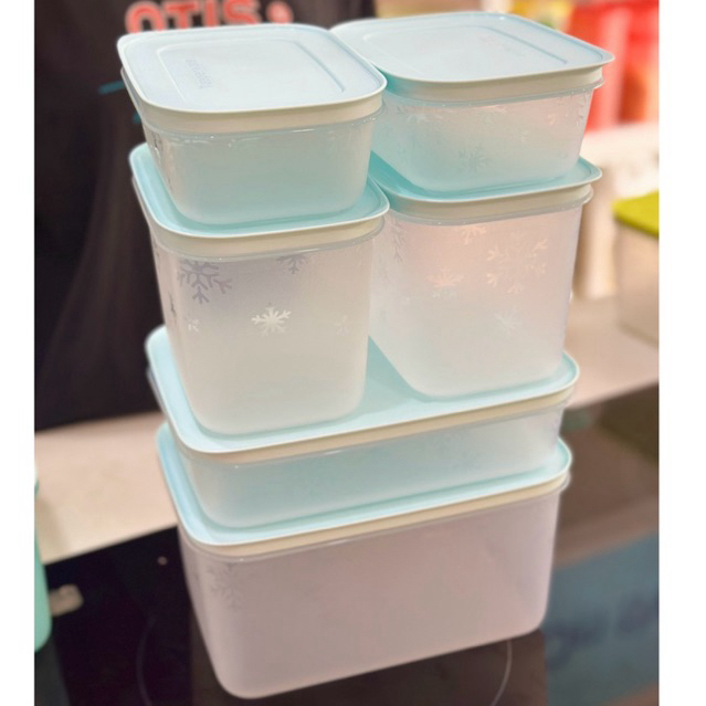Set 6 hộp trữ đông cứng bông tuyết nắp xanh nhạt Tupperware Chính hãng ...