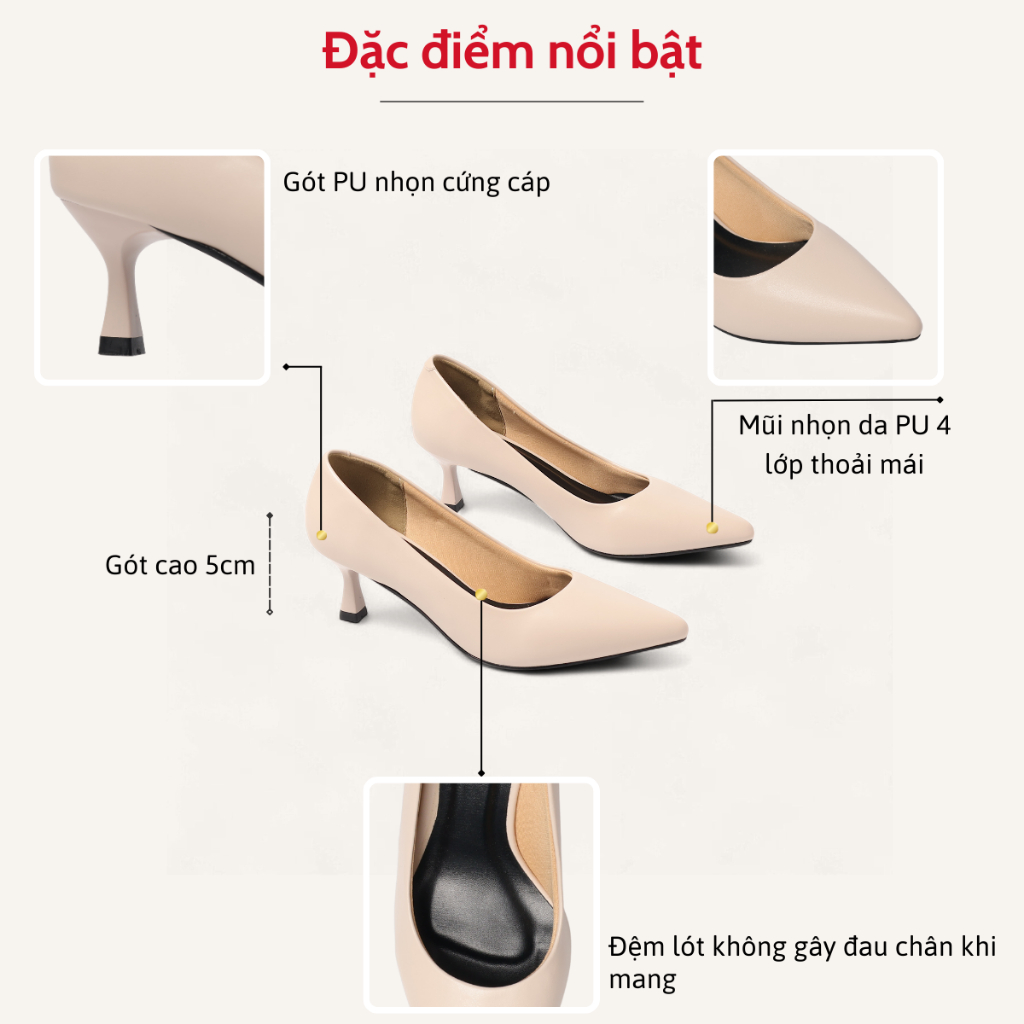 Giày Cao Gót 5,5cm Basic Mũi Nhọn Gót Thanh Pixie H324