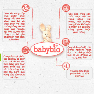 Sữa chua dừa hữu cơ Babybio cho bé ăn dặm từ 6 tháng