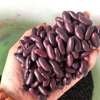 Đậu Đỏ Hạt To Loại 1 - Nấu Chè Siêu Ngon