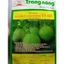 HẠT GIỐNG DƯA LÊ CÁT TƯỜNG TN 420 - CHÍNH HÃNG TRANG NÔNG ( DATE MỚI NHẤT)