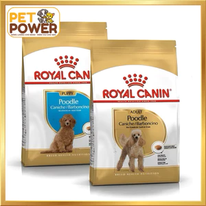 THỨC ĂN HẠT KHÔ ROYAL CANIN CHUYÊN CHO POODLE