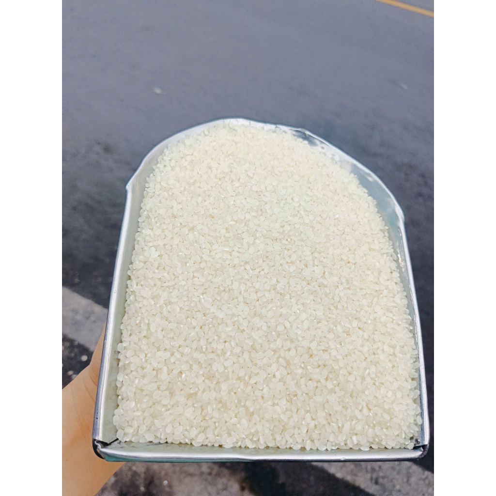 20kg Gạo Nhật Japonica Aan - hạt tròn, dẻo mềm, làm sushi rất ngon