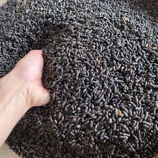 Phân Dơi Mekong Khối Lượng 0.5kg
