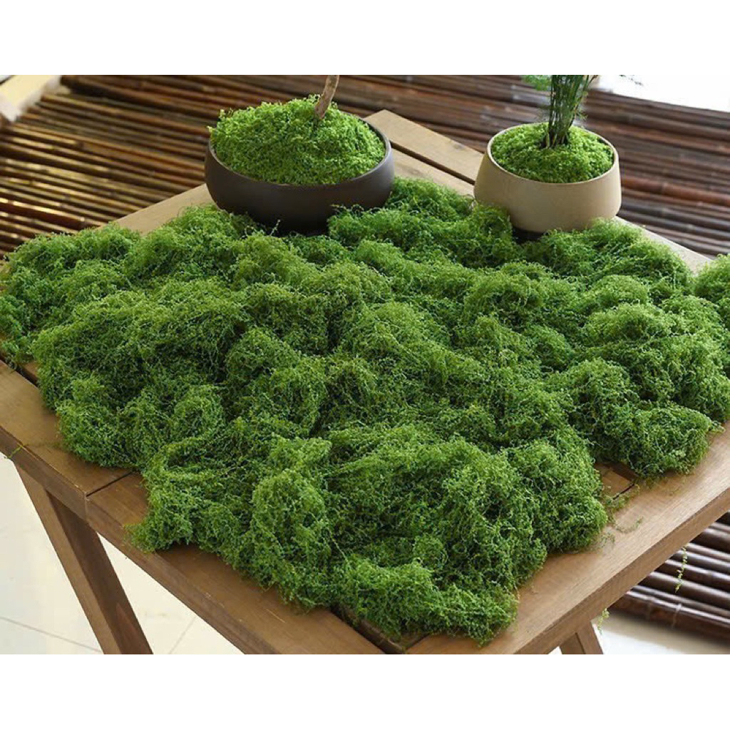 Rêu giả, rêu phủ gốc cây nhân tạo dùng trang trí tiểu cảnh, trang trí ...