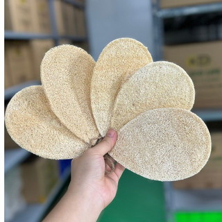COMBO 5 MIẾNG RỬA BÁT(giọt nước, size M) xơ mướp tự nhiên KB Ecolife rửa sạch chén bát