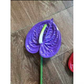 Combo 10 Lá hồng môn - Hoa giả