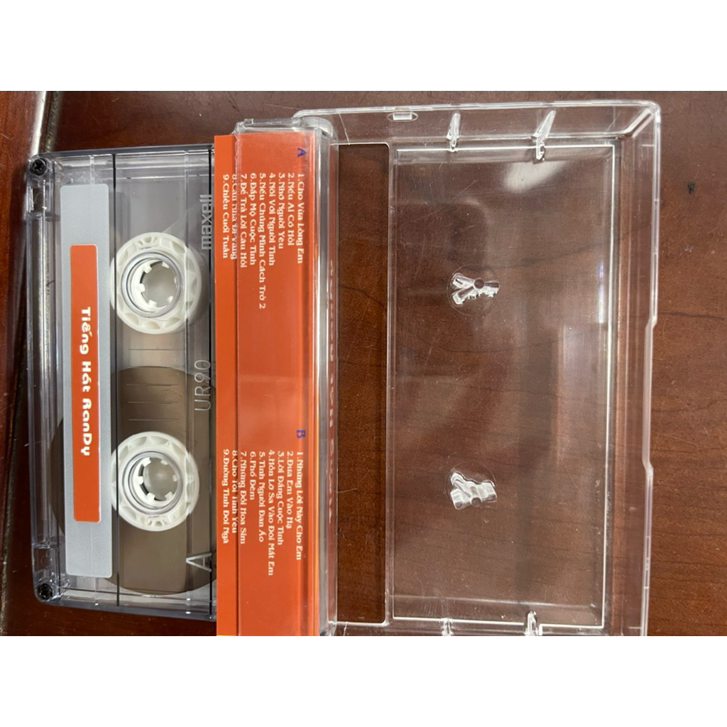 Băng Cassette Randy - Tuyển Tập Randy (90 phút)
