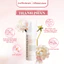 Toner Cấp Ẩm Dưỡng Trắng - Nước hoa hồng hiệu JEUDEMEURE Collagen Germinating Peptide Reforming Toner Plus