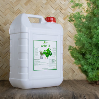 Nhà Thương Cây - Can DƯỠNG LÁ dinh dưỡng cấp tốc (Can 5L - 10L)