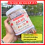 Cá Bò Rim Mắm Chuẩn Vị Huế Hiệu Cô Ti Hộp 500g Thơm Ngon Đạt Vị, Đặc Sản Huế