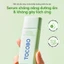 Tocobo Suncare Trial Kit