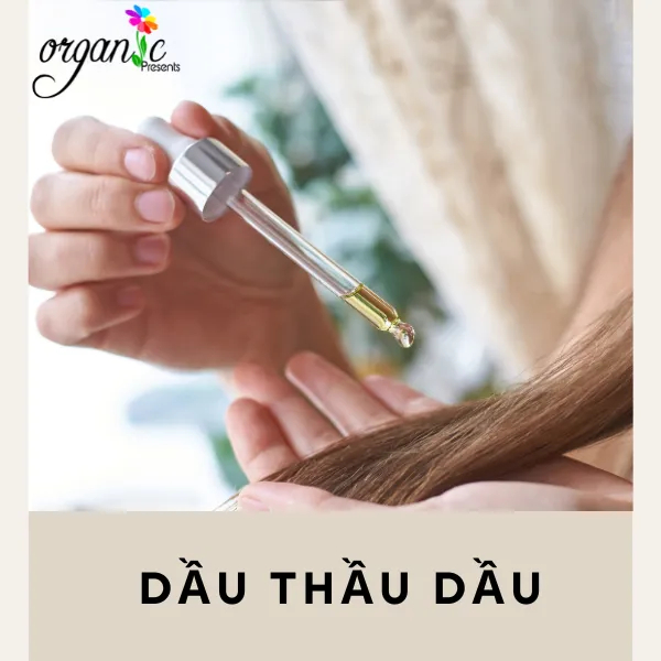 DẦU THẦU DẦU ( THÁI LAN) 50mL 100mL 250mL