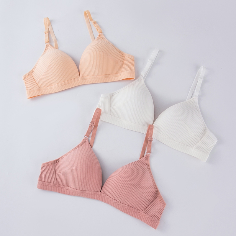 áo Ngực Nữ Sinh Không Gọng Đệm Mỏng Cotton Mềm Mại Form ôm Ngực  227