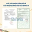 Bifina Nhật Bản Loại R – Men vi sinh hỗ trợ giảm viêm đại tràng, đầy hơi, khó tiêu