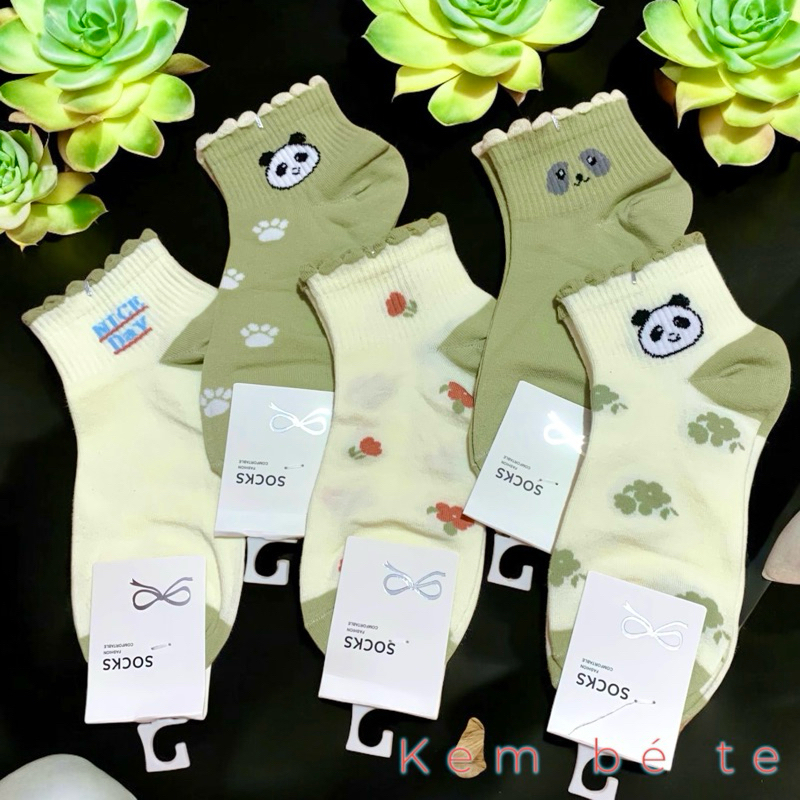 Gấu trúc