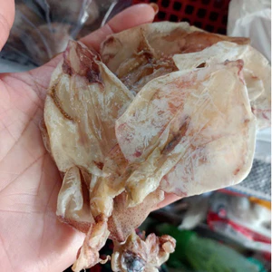 Khô Mực Cỡ Nhỏ – Mực Nhỏ Vừa Tay, Gói 500g Gọn Nhẹ, Dễ Dùng