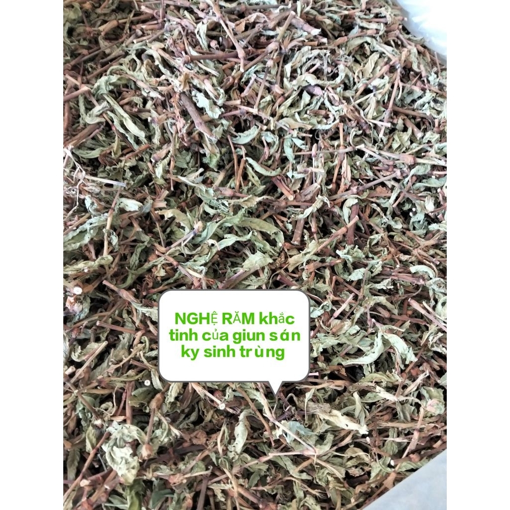 1LIỆU TRÌNH NGHỆ RĂM 3KG
